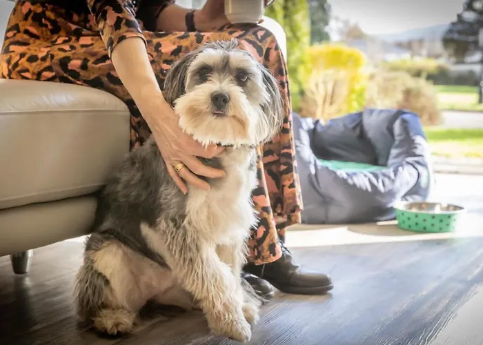 The Gleneagle River Killarney