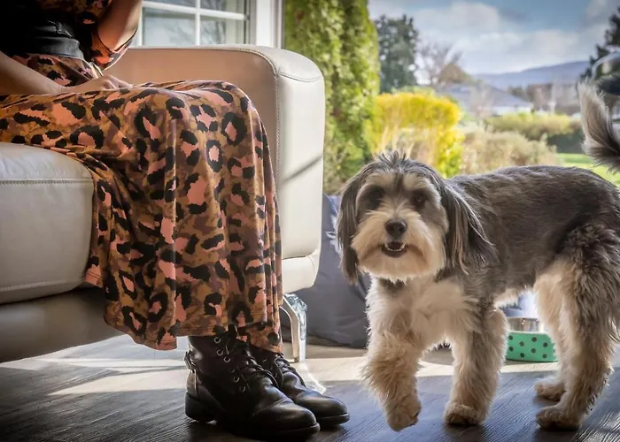 The Gleneagle River 4*